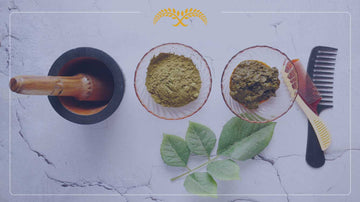 Surprising Benefits of Green Tea for Hair: Truths, Myths, and How to Use