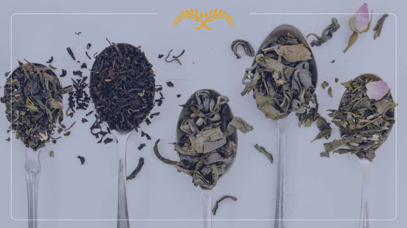 Exploring the Various Types of Green Tea: A Comprehensive Guide